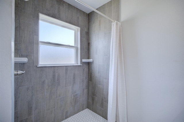 2438 W Wellston Rd, Avon Park, FL 33825 - bathroom with tiled shower