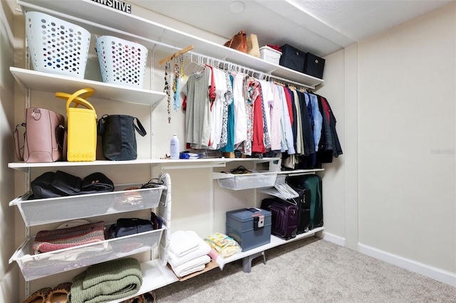6819 Broken Arrow Trl S, Lakeland, FL 33813 - spacious closet featuring carpet flooring