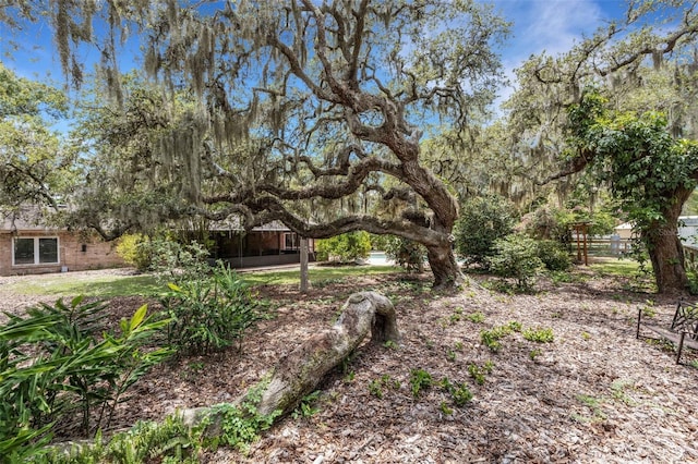 6819 Broken Arrow Trl S, Lakeland, FL 33813 - view of yard