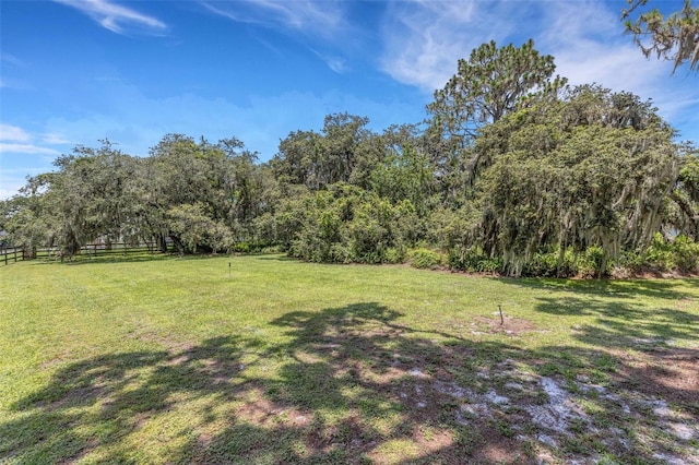 6819 Broken Arrow Trl S, Lakeland, FL 33813 - view of yard