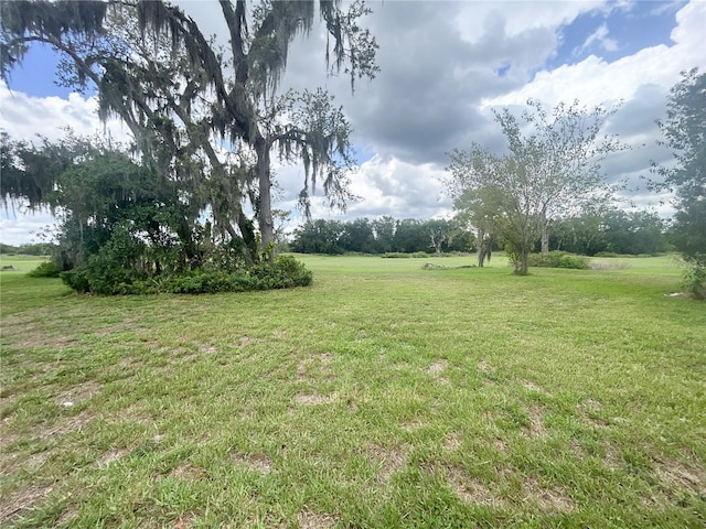 1909 Masters Way, Plant City, FL 33566 - view of grassy yard