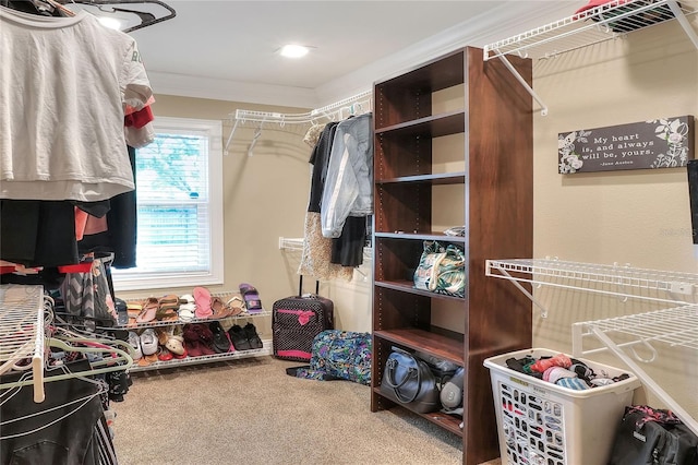 1300 Ariana Woods Cir, Auburndale, FL 33823 - walk in closet with carpet floors
