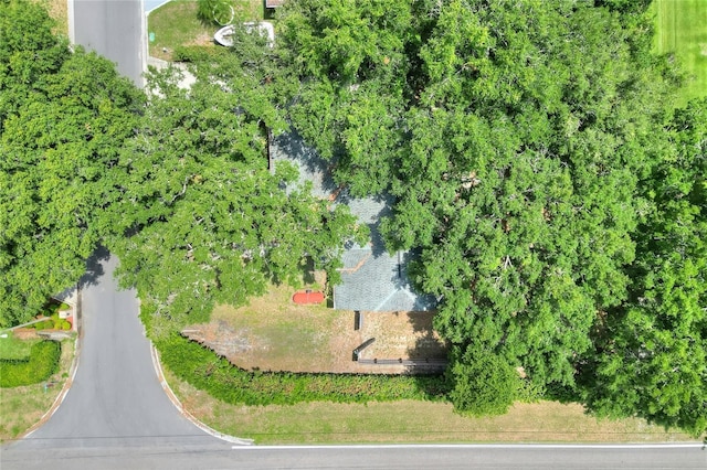 1300 Ariana Woods Cir, Auburndale, FL 33823 - aerial view