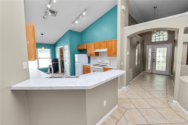 16804 Hawkridge Rd, Lithia, FL 33547 - kitchen with white appliances, under cabinet range hood, vaulted ceiling, a peninsula, and a sink