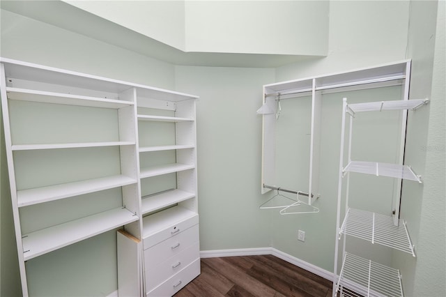 16804 Hawkridge Rd, Lithia, FL 33547 - spacious closet with dark wood-style flooring