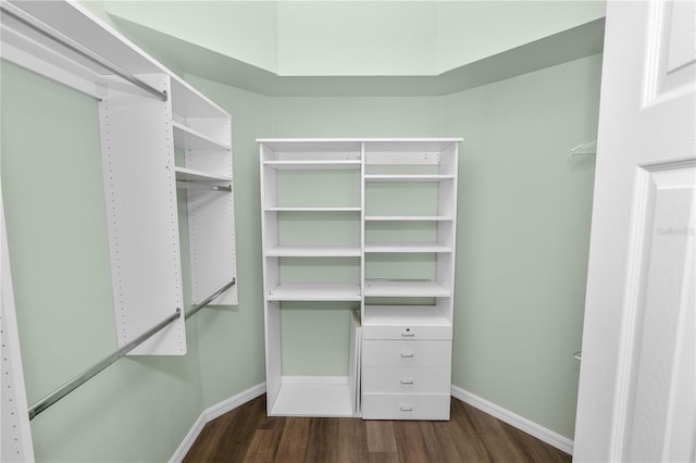16804 Hawkridge Rd, Lithia, FL 33547 - spacious closet with dark wood finished floors