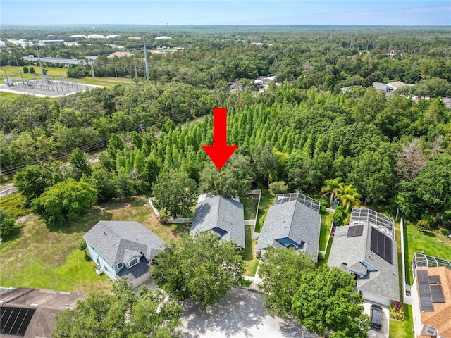 16804 Hawkridge Rd, Lithia, FL 33547 - aerial view of a forest