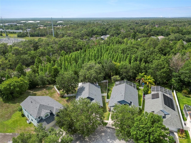 16804 Hawkridge Rd, Lithia, FL 33547 - aerial view of a forest