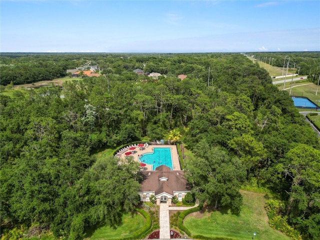 16804 Hawkridge Rd, Lithia, FL 33547 - bird's eye view of a heavily wooded area and a pool area