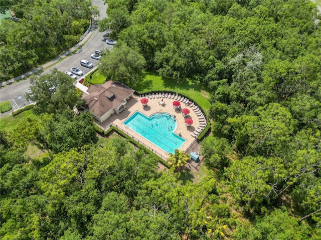 16804 Hawkridge Rd, Lithia, FL 33547 - drone / aerial view of a pool area and a heavily wooded area
