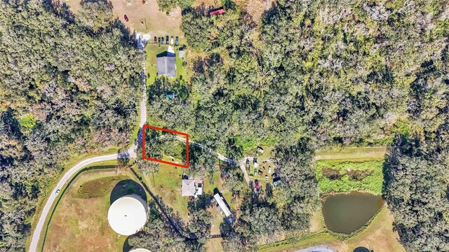 Arnaz Dr, Mulberry, FL 33860 - photo 2