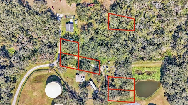 Arnaz Dr, Mulberry, FL 33860 - photo 4