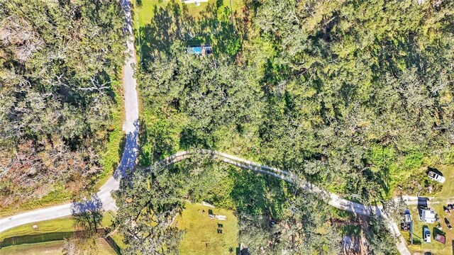 Arnaz Dr, Mulberry, FL 33860 - photo 6