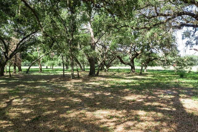 203 Boyer St, Venus, FL 33960 - photo 21