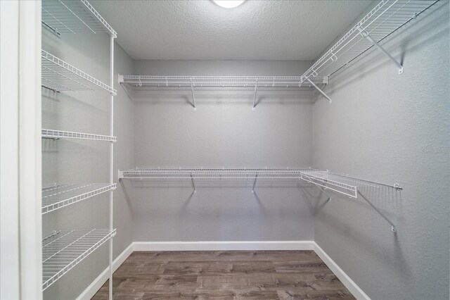203 Boyer St, Venus, FL 33960 - photo 45