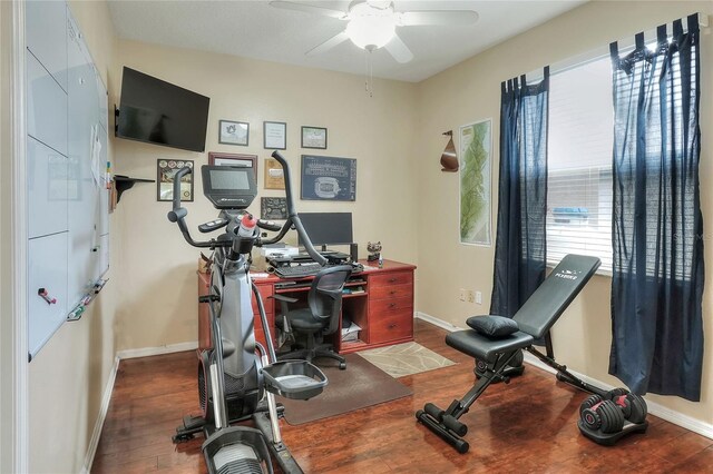 3507 Autumn Glen Dr, Valrico, FL 33596 - photo 73