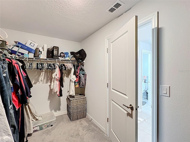 2929 Flying Blackbird Rd, Bartow, FL 33830 - spacious closet with carpet