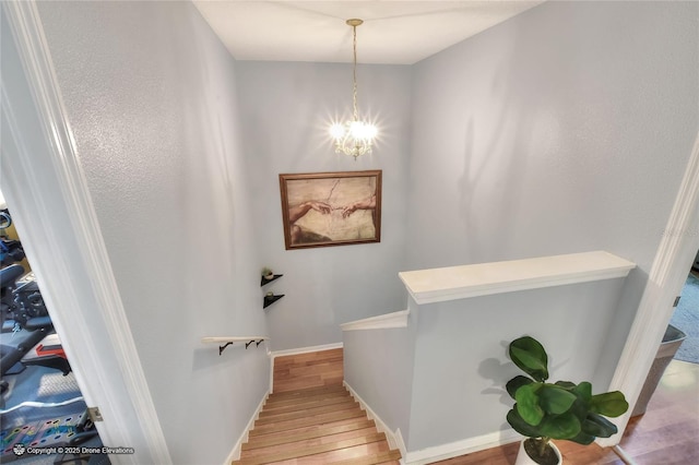 34852 Teeview Ln, Zephyrhills, FL 33541 - photo 22