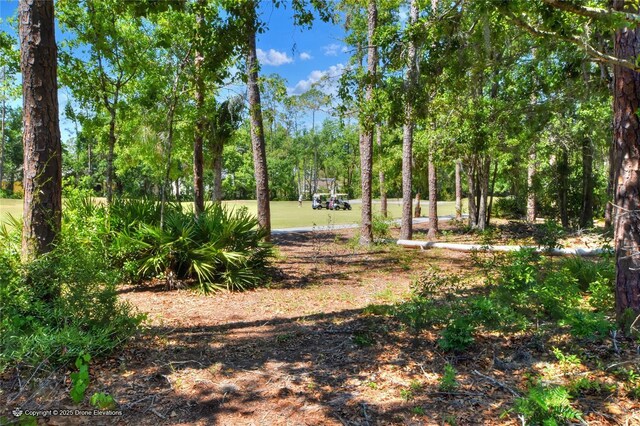 34852 Teeview Ln, Zephyrhills, FL 33541 - photo 43