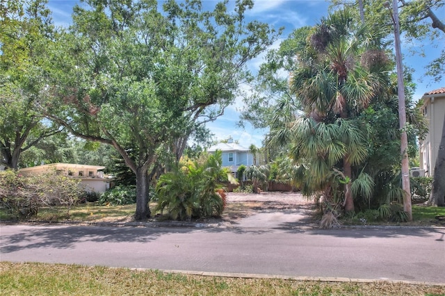 572 Marmora Ave, Tampa, FL 33606