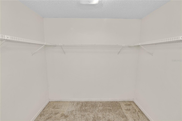 1917 Lori Ln W, Lakeland, FL 33801 - spacious closet featuring light carpet