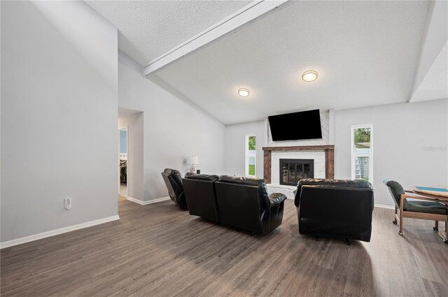 3080 Cross Fox Dr, Mulberry, FL 33860 - living room featuring vaulted ceiling, wood finished floors, baseboards, a glass covered fireplace, and a textured ceiling