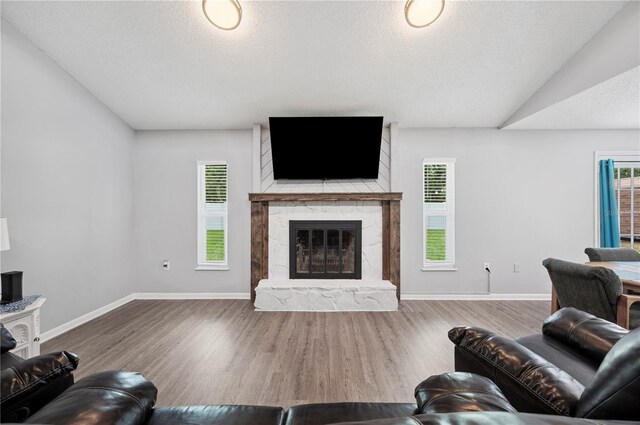 3080 Cross Fox Dr, Mulberry, FL 33860 - living area featuring a fireplace, plenty of natural light, a textured ceiling, and wood finished floors