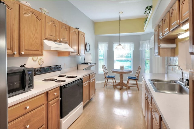 5857 Macaw Pl, Lakeland, FL 33809 - photo 8
