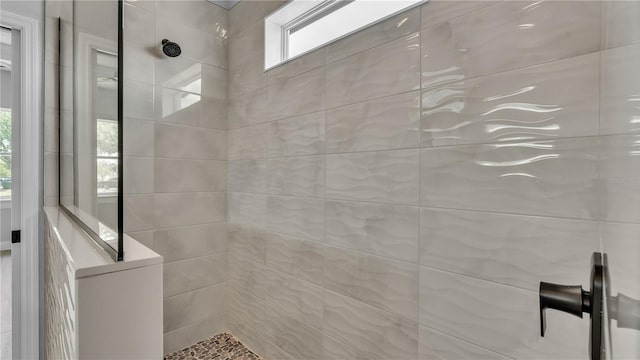 1172 Windjammer Dr, Lakeland, FL 33803 - full bathroom with walk in shower