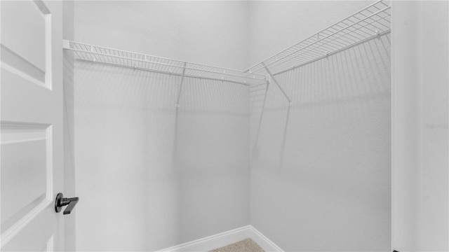 1172 Windjammer Dr, Lakeland, FL 33803 - view of walk in closet