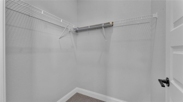 1172 Windjammer Dr, Lakeland, FL 33803 - view of spacious closet