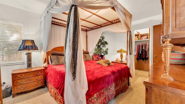841 E Valencia St, Lakeland, FL 33805 - bedroom featuring light carpet, a walk in closet, and a closet