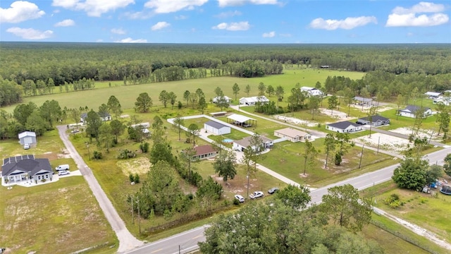 13522 Rockridge Rd, Lakeland, FL 33809 - photo 38