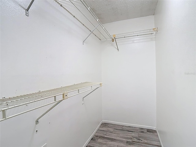 11704 Raintree Village Blvd Unit B, Temple Terrace, FL 33617 - spacious closet featuring wood finished floors