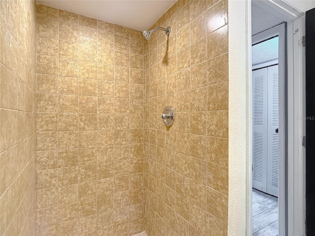 11704 Raintree Village Blvd Unit B, Temple Terrace, FL 33617 - full bathroom with a tile shower and a closet
