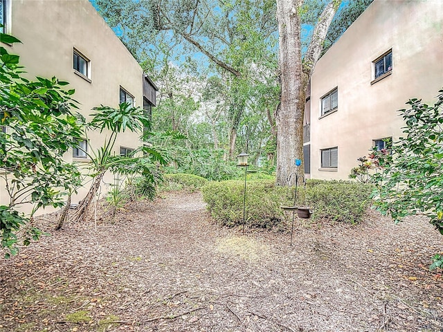 11704 Raintree Village Blvd Unit B, Temple Terrace, FL 33617 - view of yard
