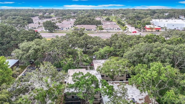 11704 Raintree Village Blvd Unit B, Temple Terrace, FL 33617 - bird's eye view