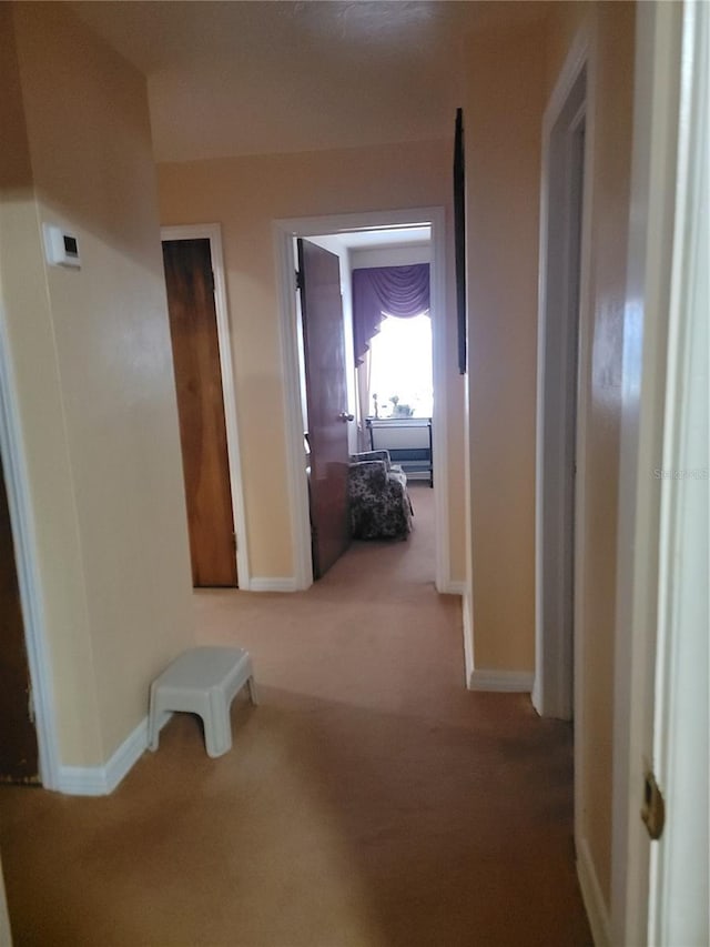 1002 W La Salle St, Tampa, FL 33607 - photo 14