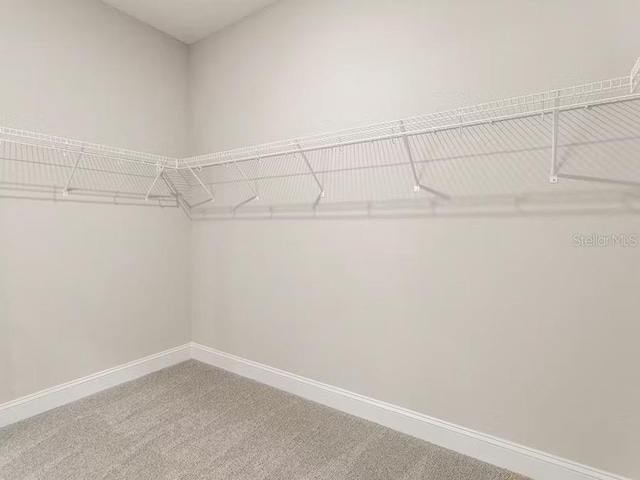 828 Cypress Creek Run, Saint Cloud, FL 34771 - walk in closet with carpet floors