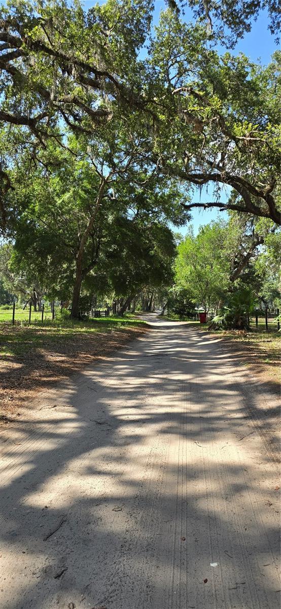 TBD SE 14th Ter, Bushnell, FL 33513 - photo 2