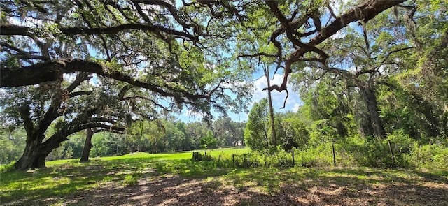 TBD SE 14th Ter, Bushnell, FL 33513 - photo 18