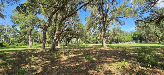 TBD SE 14th Ter, Bushnell, FL 33513 - photo 53