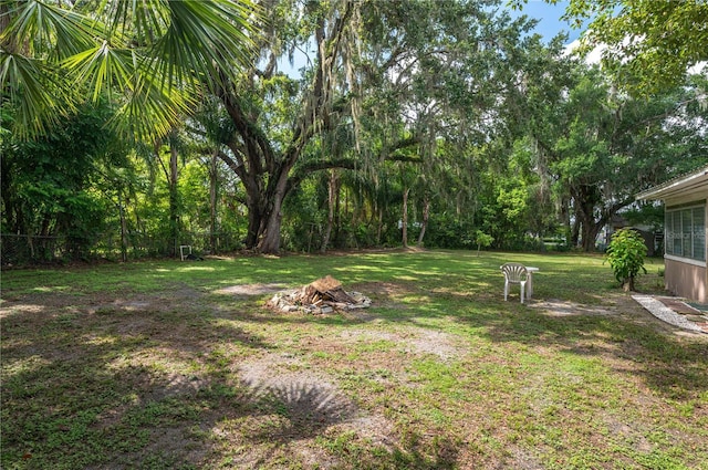 114 Pennsylvania Ave, Wauchula, FL 33873 - view of yard