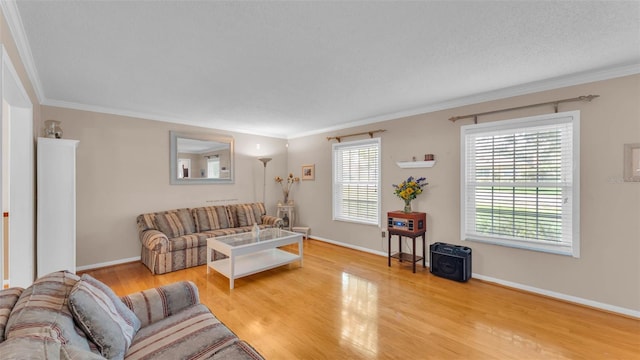 1910 Clubhouse Rd, Lakeland, FL 33813 - living area featuring light wood-style floors, ornamental molding, and baseboards