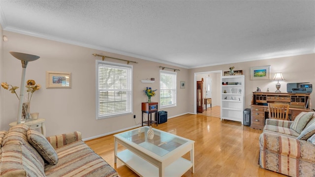 1910 Clubhouse Rd, Lakeland, FL 33813 - living area with crown molding, a textured ceiling, light wood-style flooring, and baseboards