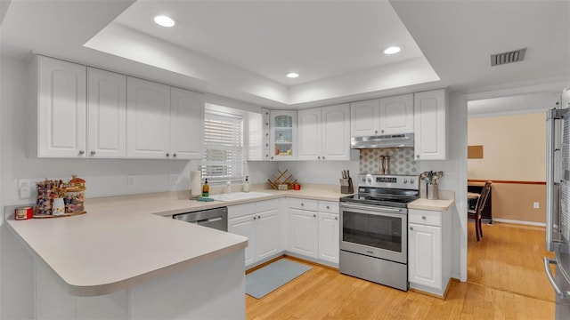 1910 Clubhouse Rd, Lakeland, FL 33813 - kitchen featuring stainless steel appliances, under cabinet range hood, a tray ceiling, a peninsula, and light wood-type flooring