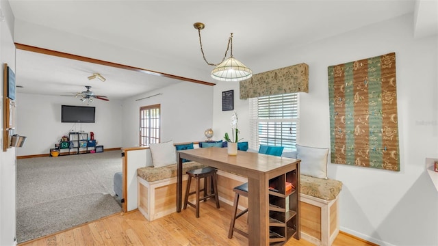 1910 Clubhouse Rd, Lakeland, FL 33813 - dining space with healthy amount of natural light, a ceiling fan, wood finished floors, and baseboards