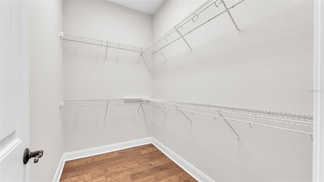 1385 Ewell Rd, Lakeland, FL 33811 - spacious closet with wood finished floors