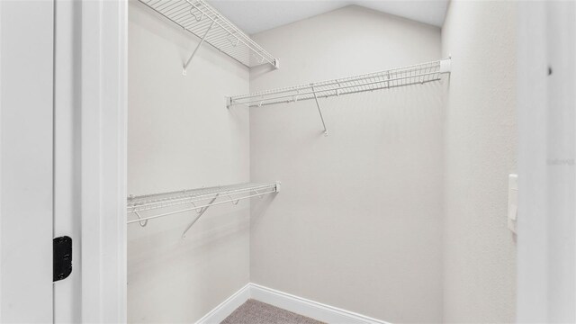 1385 Ewell Rd, Lakeland, FL 33811 - spacious closet featuring lofted ceiling