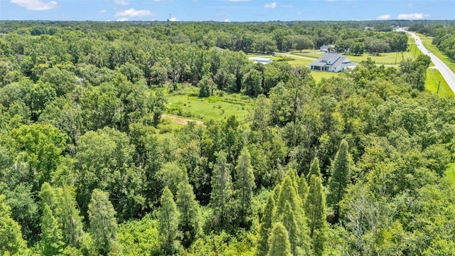 1385 Ewell Rd, Lakeland, FL 33811 - aerial view of property's location featuring a heavily wooded area
